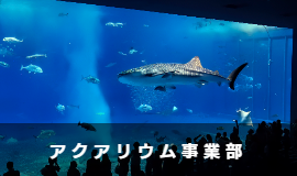 アクアリウム事業部 クラフトラウンジ Craft Lounge 村山商事